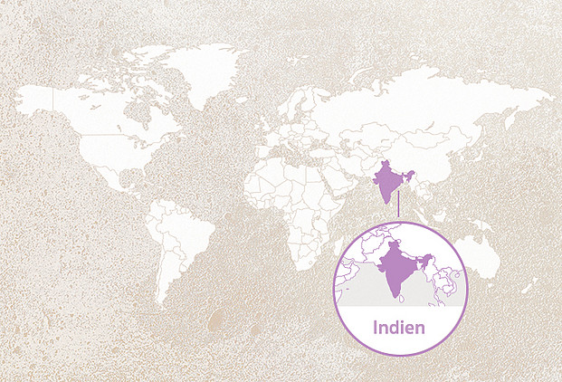 Weltkarte mit Highlight Indien
